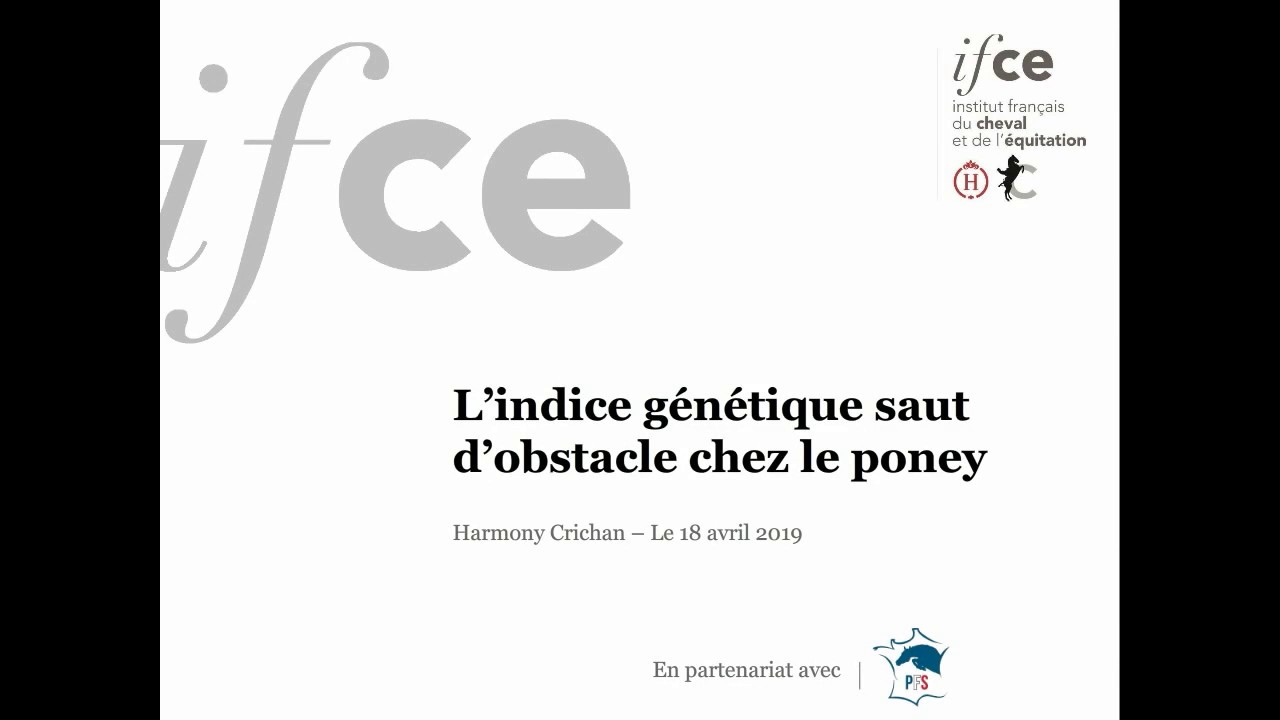 L indice genetique saut d obstacle chez le poney - Harmony Crichan