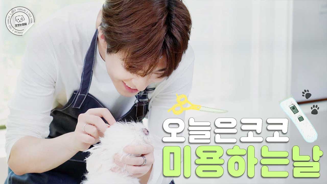 [ENG]#7. 애견미용? 갓세븐 영재가 합니다 🤟🏻 😎 🤟🏻