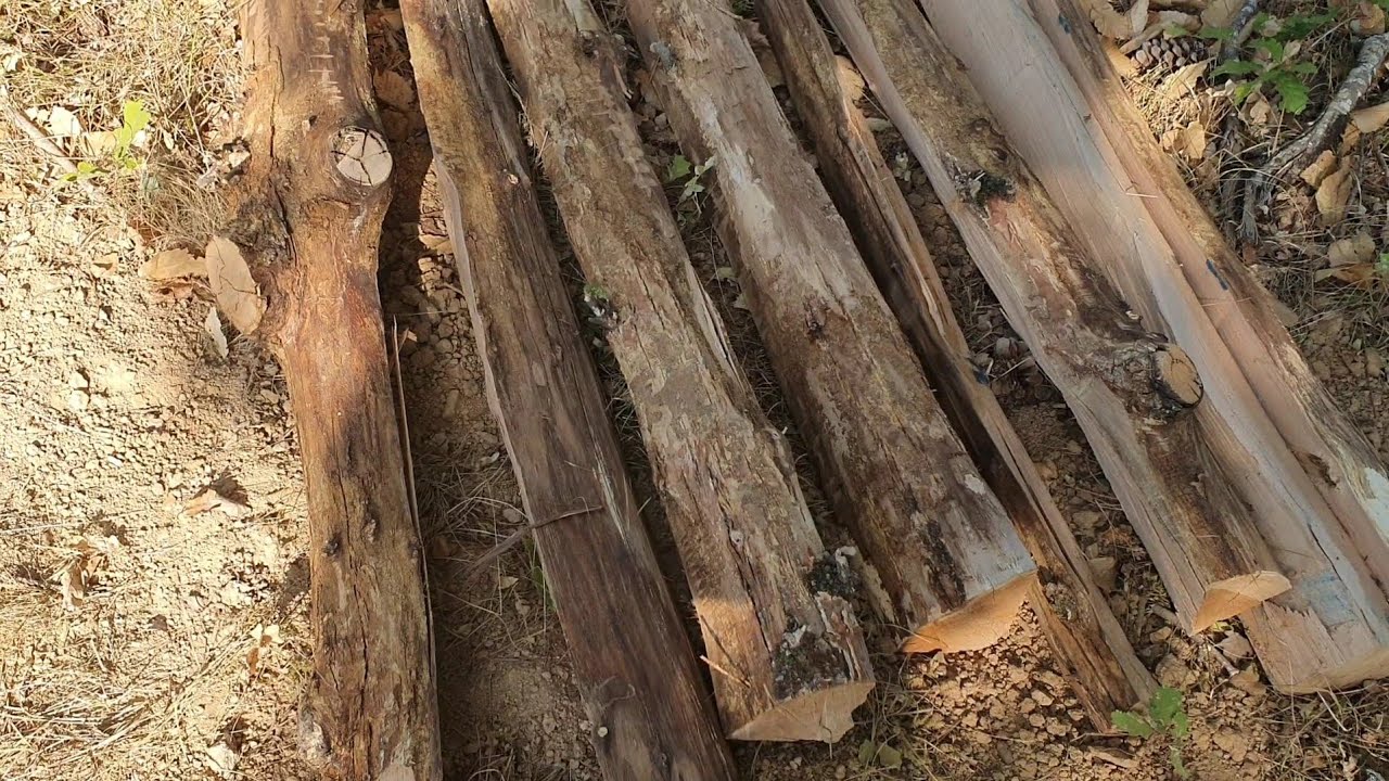 Faire des poteaux châtaigniers soit même