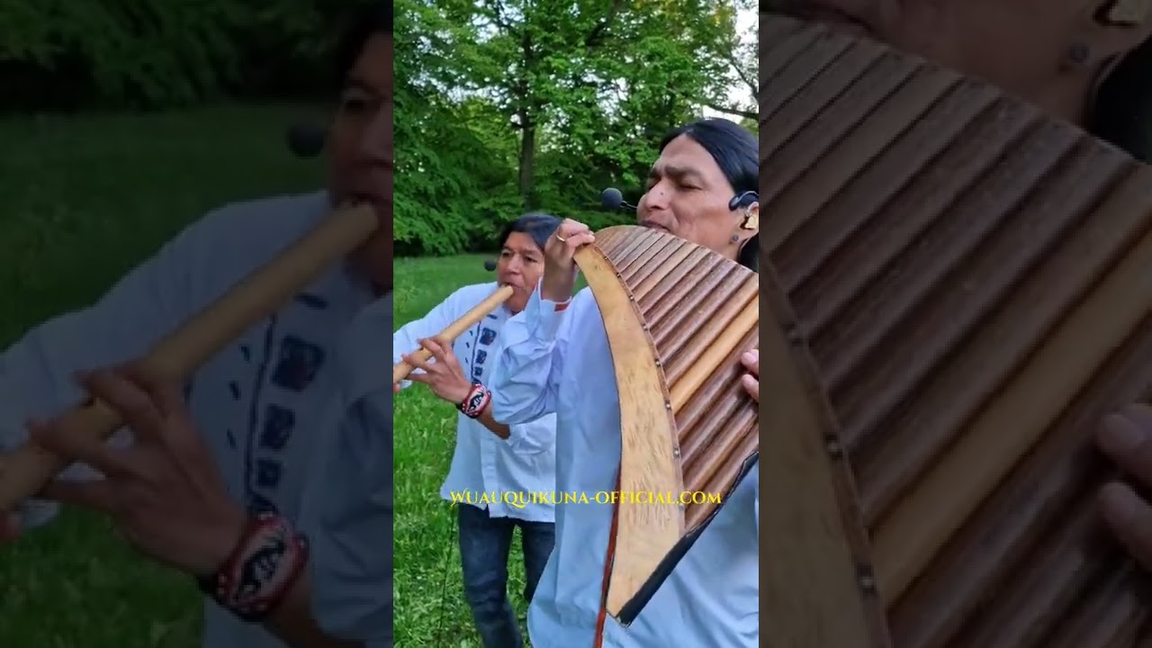 Song Of Ocarina #shorts  #nature #wuauquikuna