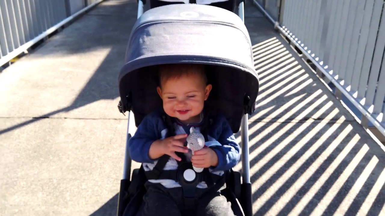 Introducing the Bugaboo Ant