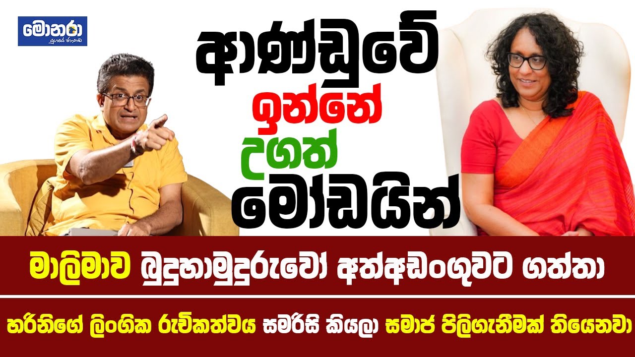හරිනිගේ ලිංගික රුචිකත්වය සමරිසි කියලා සමාජ පිලිගැනීමක් තියෙනවා