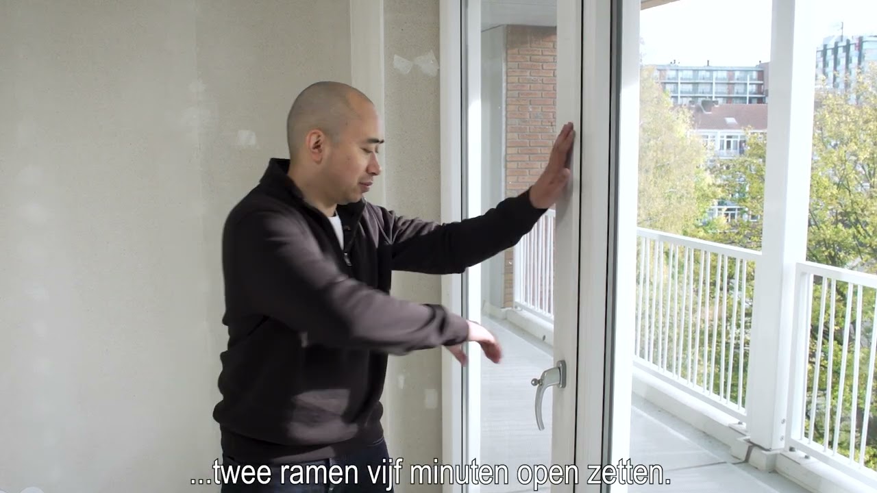 Installaties Brasa Moos Gebouw Zinnia