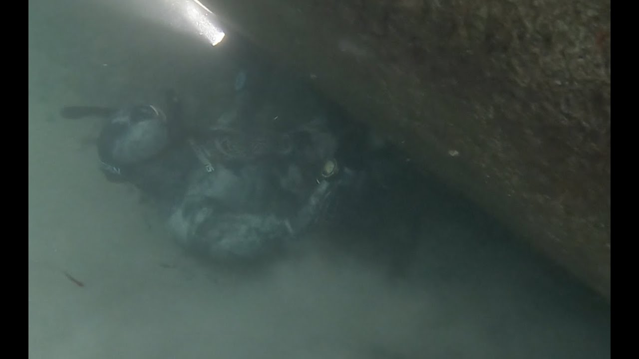 Vragdyk I Kan vi mon komme igennem? I Sjællands odde del. 2 I Wreck diving in Denmark