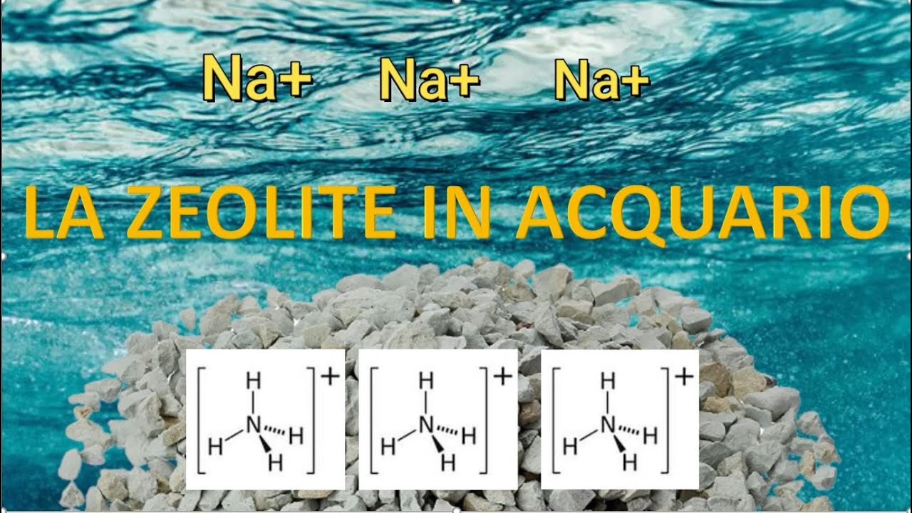 La zeolite in acquario, uno strumento che va capito