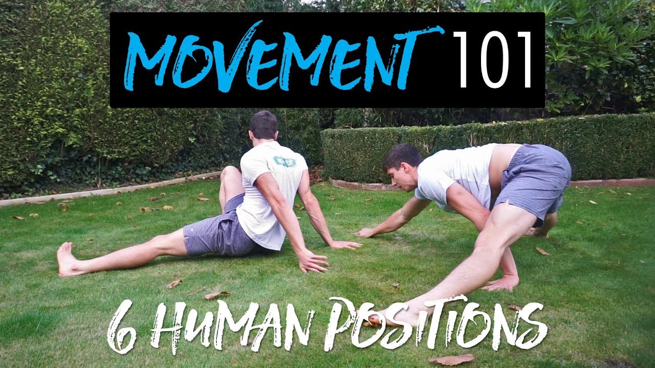 6 Human Positions | Movement 101