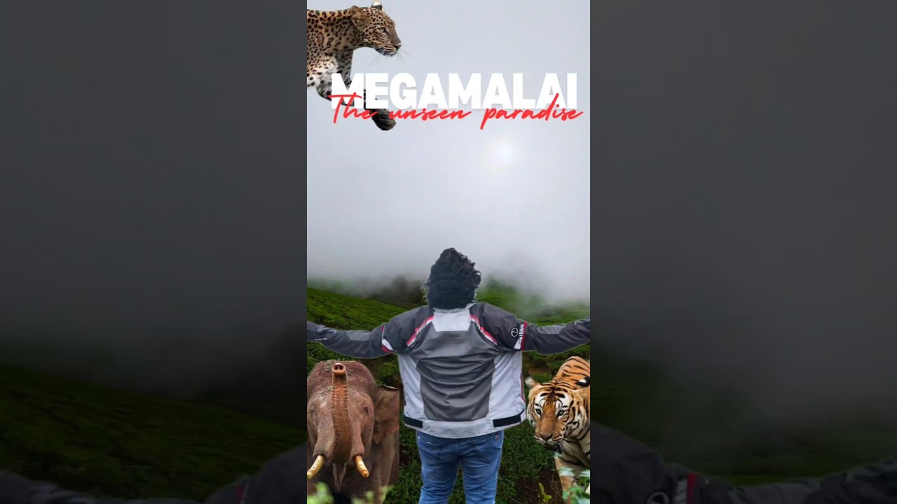 Megamalai the Underated gem|megamalai tourist places in tamil|full video in our channel|plz check it