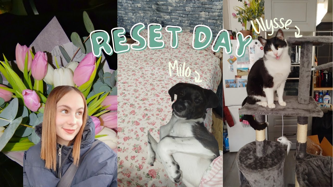 Reset Day 🧹
