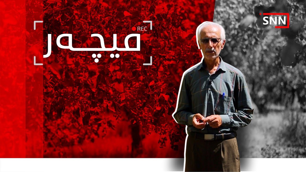 فیچەر - دوای نەوت دەکرێت فستق ببێتە سەرچاوەی داهات و خود بژێوی
