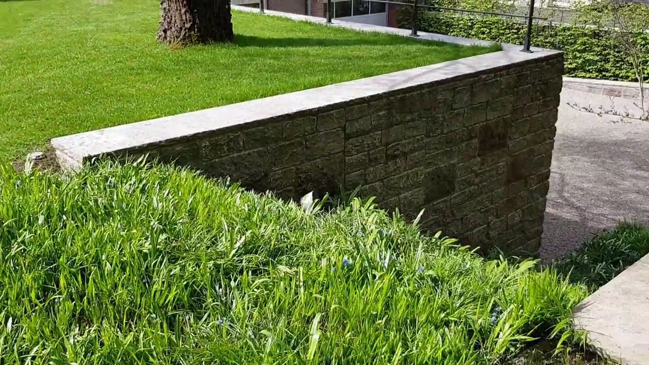 Der Garten im Frühling