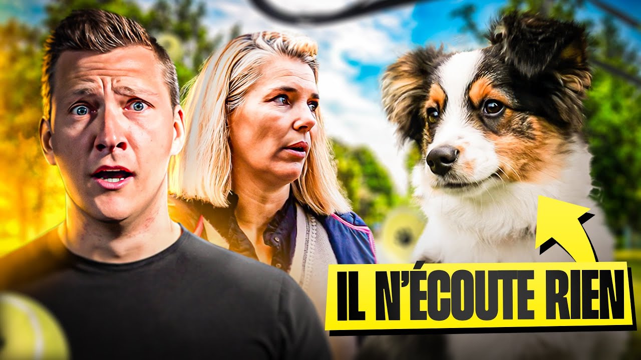 Ce CHIOT n'a AUCUN Rappel & Mordille (nos conseils) - Sos Educ Dog 3