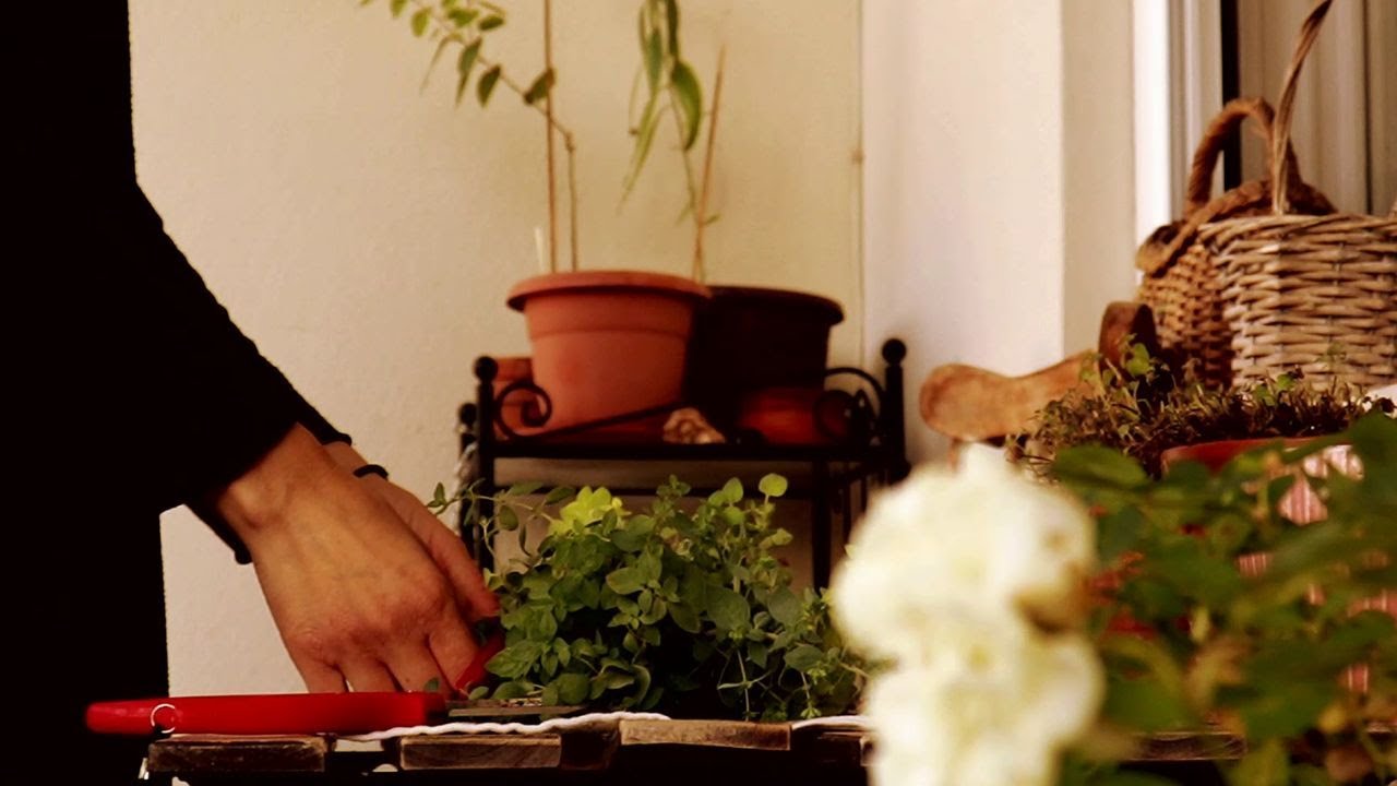 Greek Lifestyle | Slow Summer Days | Peaceful Moments in the Island | Quiet Gardening | Silent Vlog