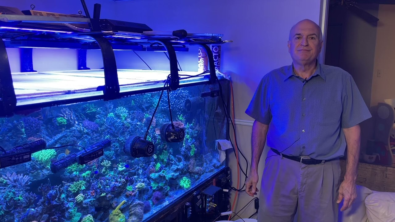 Paletta 500 — обновление за 1 год — динофлагелляты и идеальный поток