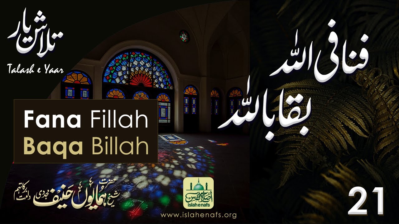 Talash e Yaar 21┇𝐅𝐚𝐧𝐚 𝐚𝐮𝐫 𝐁𝐚𝐪𝐚┇Hazrat Shaykh Humayun Hanif
