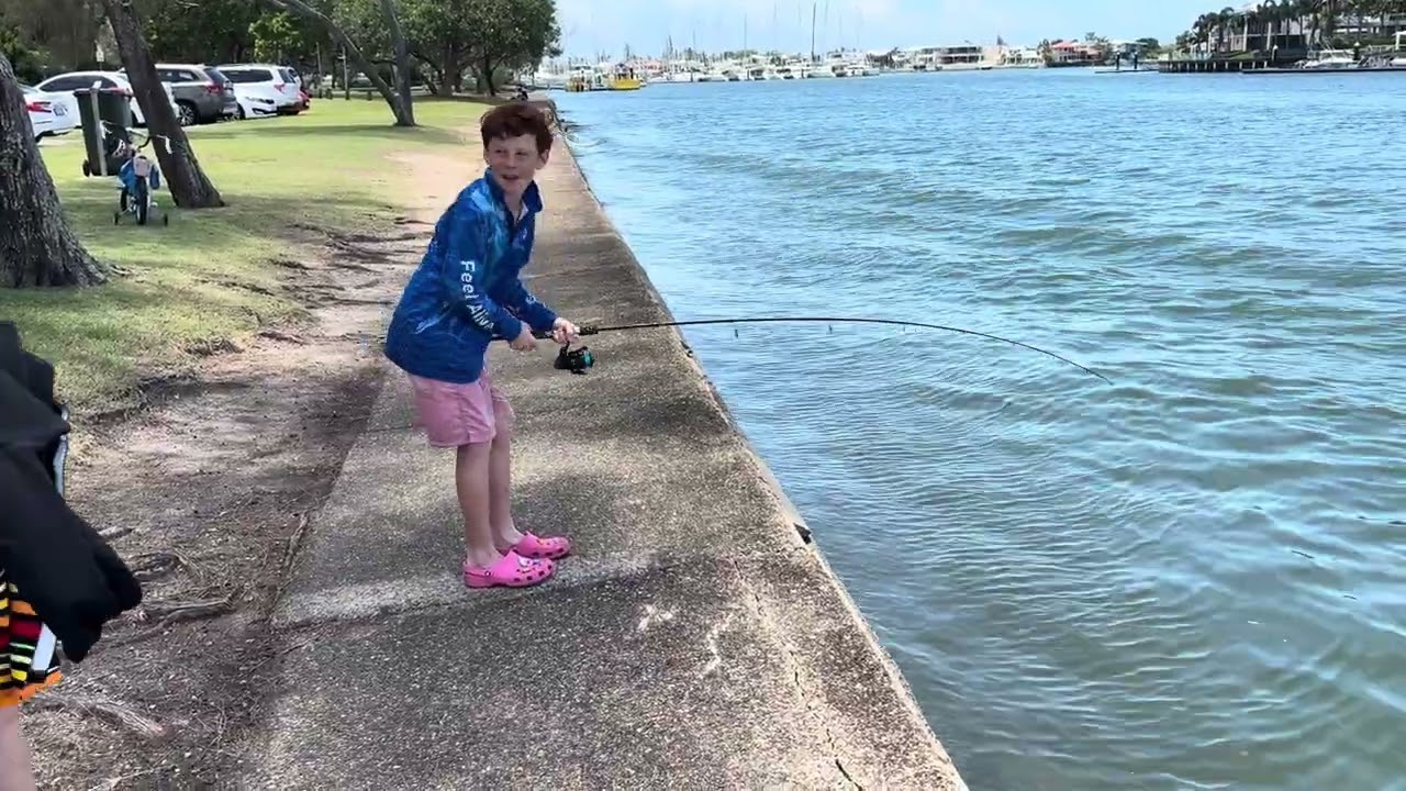 Shovel nose ray at Mooloolaba 😊