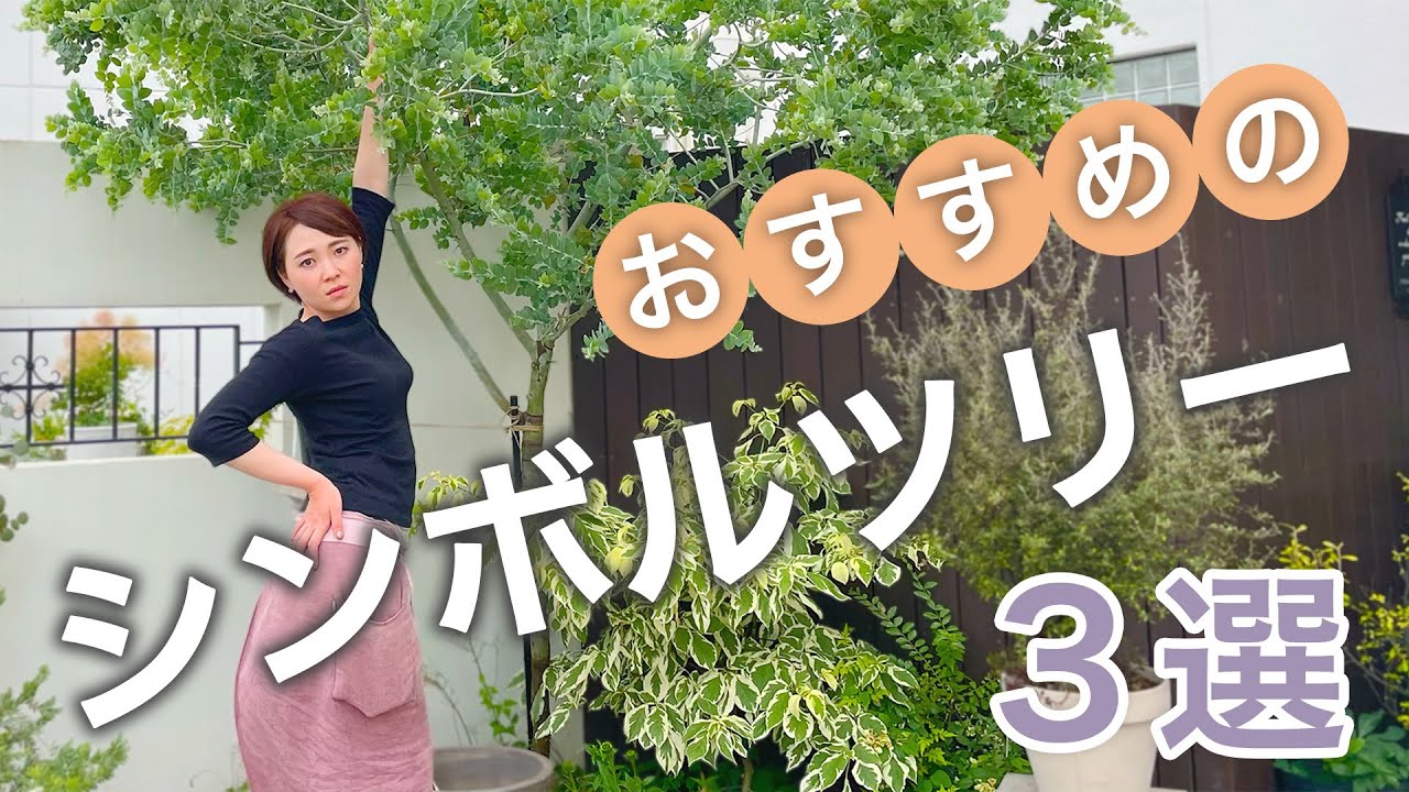 お家の印象をガラッと変える！おすすめのシンボルツリー３選♪