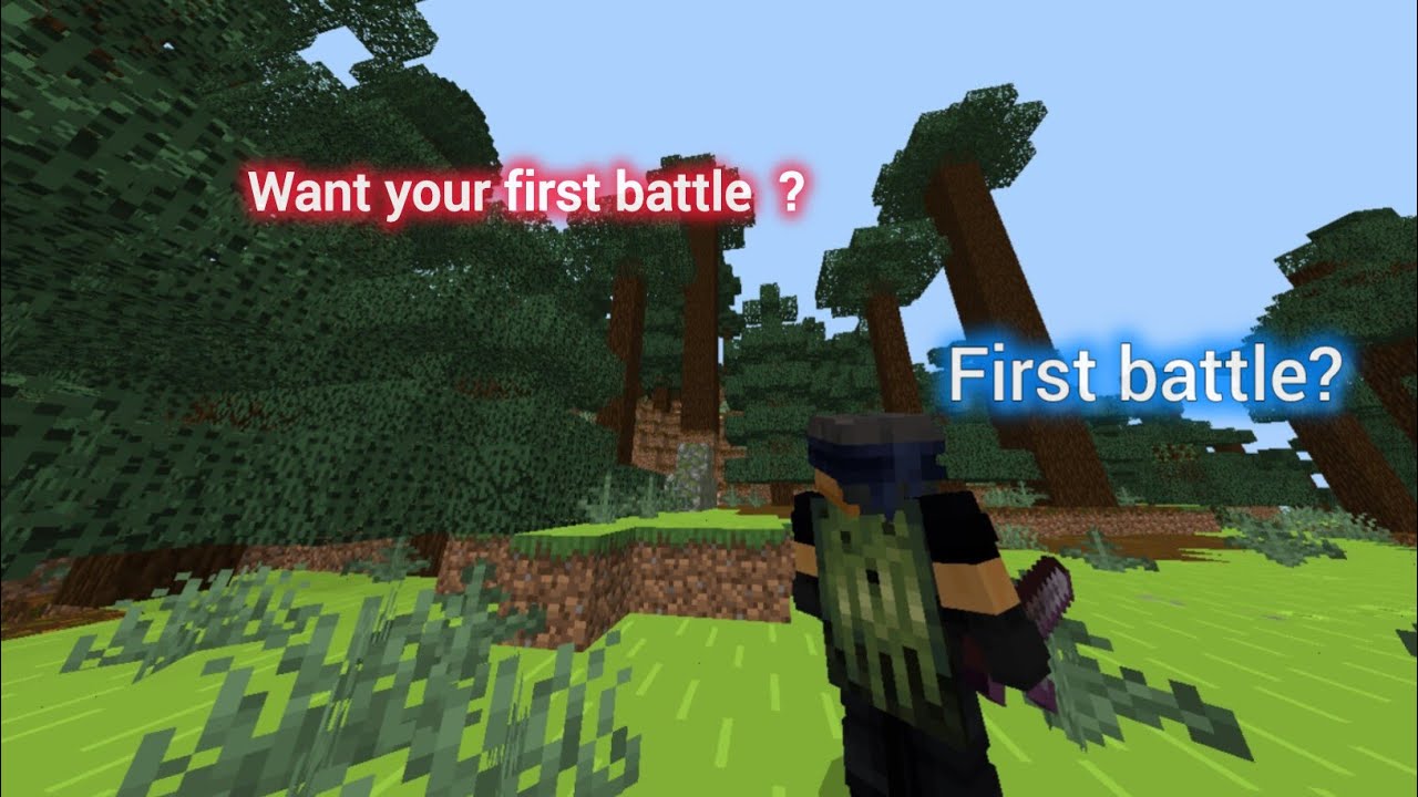 First battle I recorded in the Anonymous SMP 