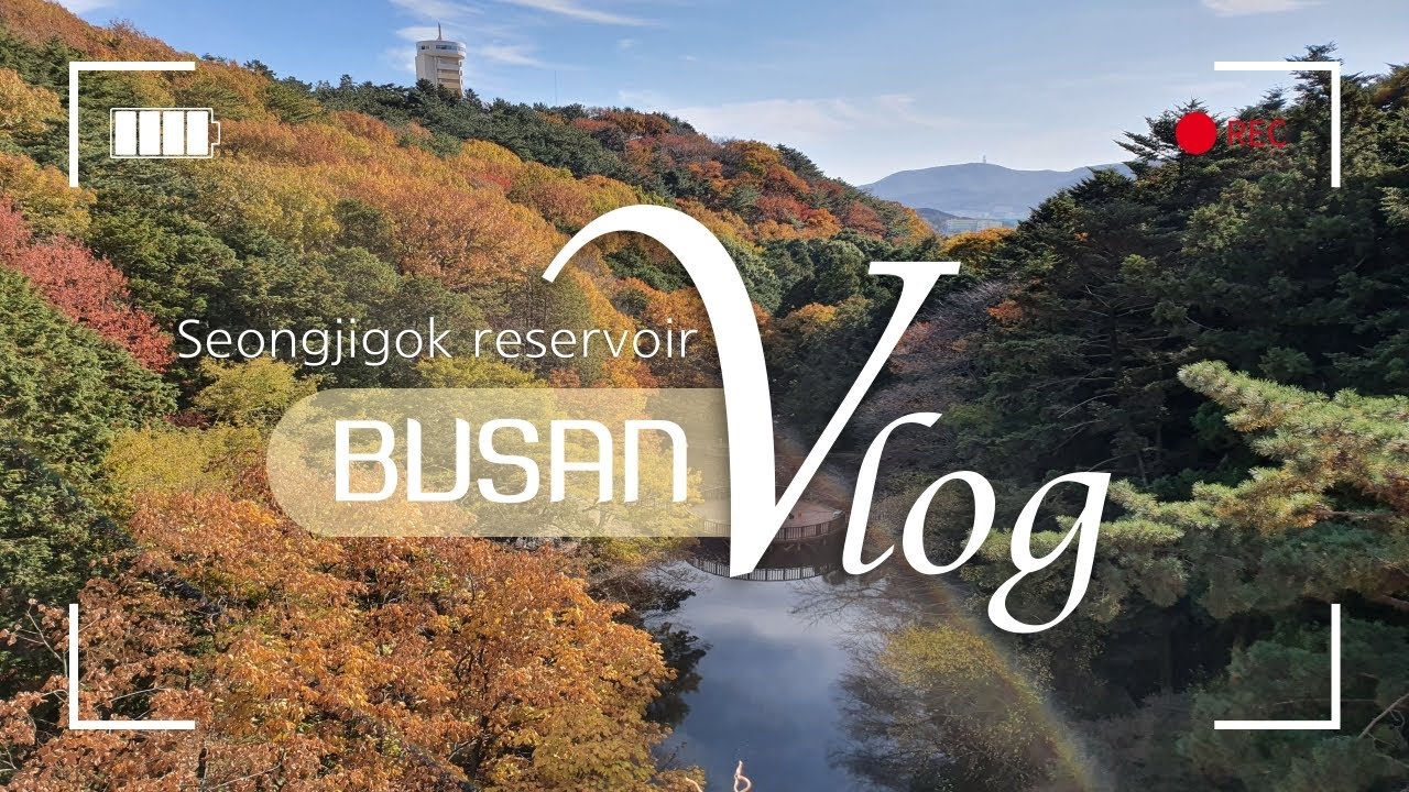 [walking] Great place to go for a walk in busan south korea, BUSAN Vlog 성지곡 수원지 어린이 대공원