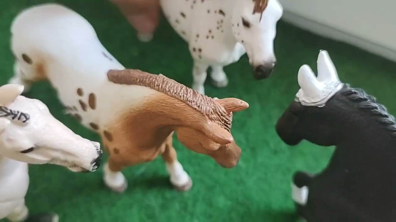 music video schleich
