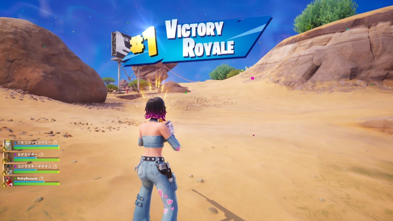 Fortnite Incognito Cat Holloway Quint Win PS5 Gameplay 