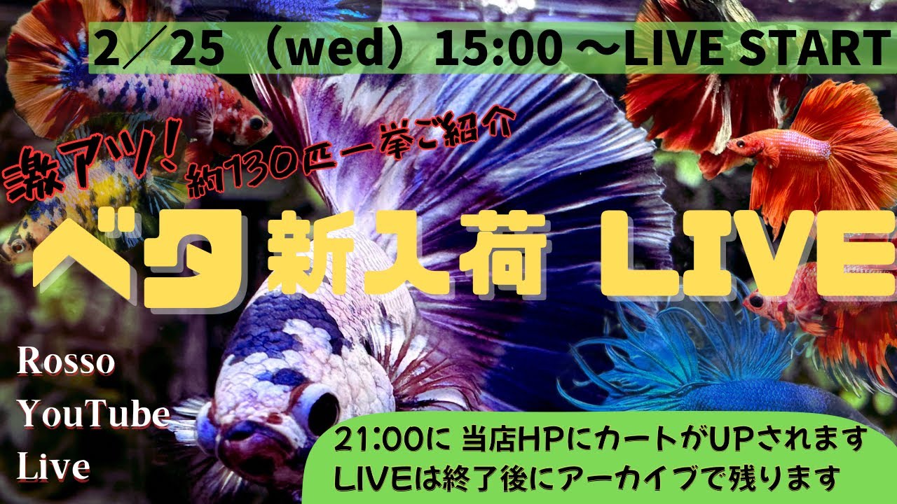 2026年 第一弾　ベタ入荷LIVE 【 ROSSO 】
