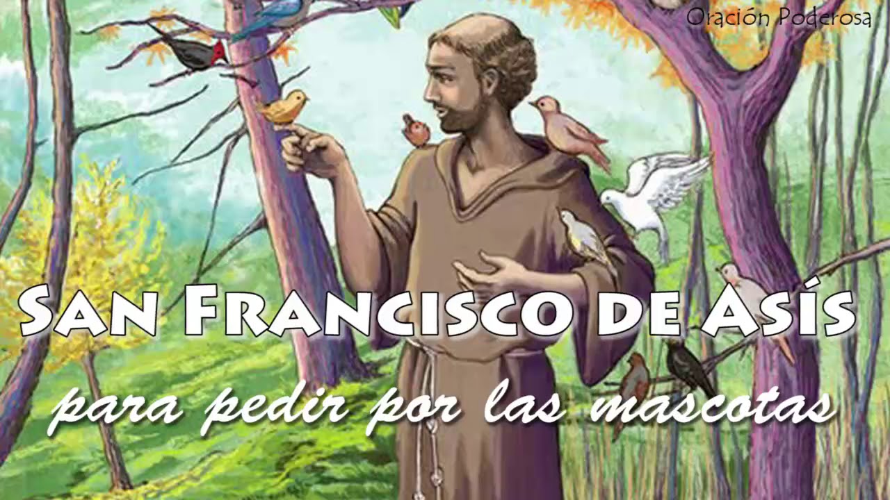 San Francisco de Asís   Oración para pedir por las mascotas, salud, protección, robos, extravíos y m