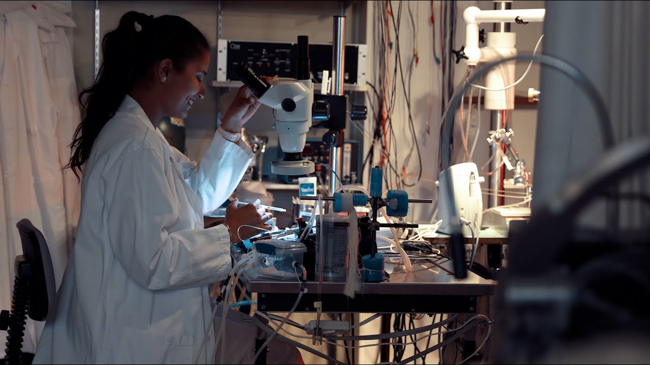 Department of Physiology and Pathophysiology