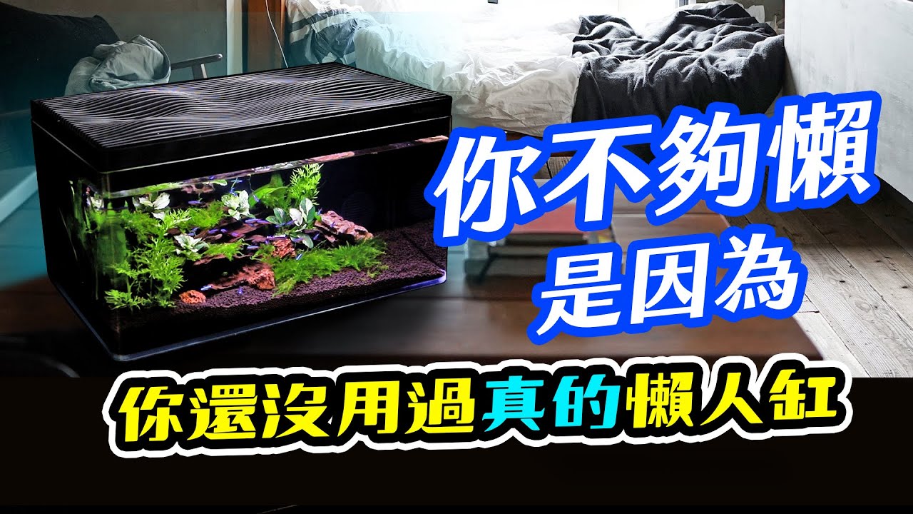 神體驗：開箱悠合生態缸！號稱半年不用換水的魚缸！Harmony Aquarium Unpacking. Not need to change water for half a year!