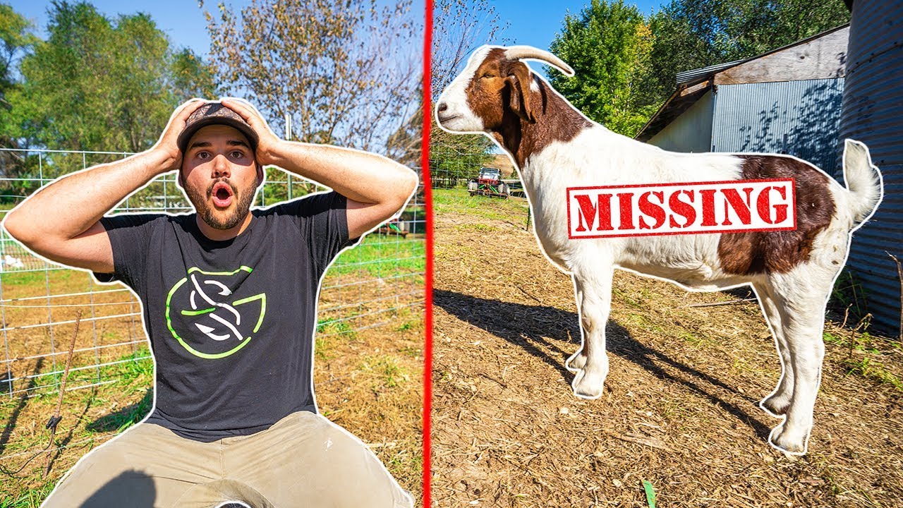 My Pet Goat ESCAPED from the BACKYARD FARM!!! (DISASTER)