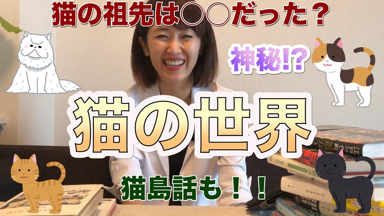 【猫の祖先は○○？】猫の世界