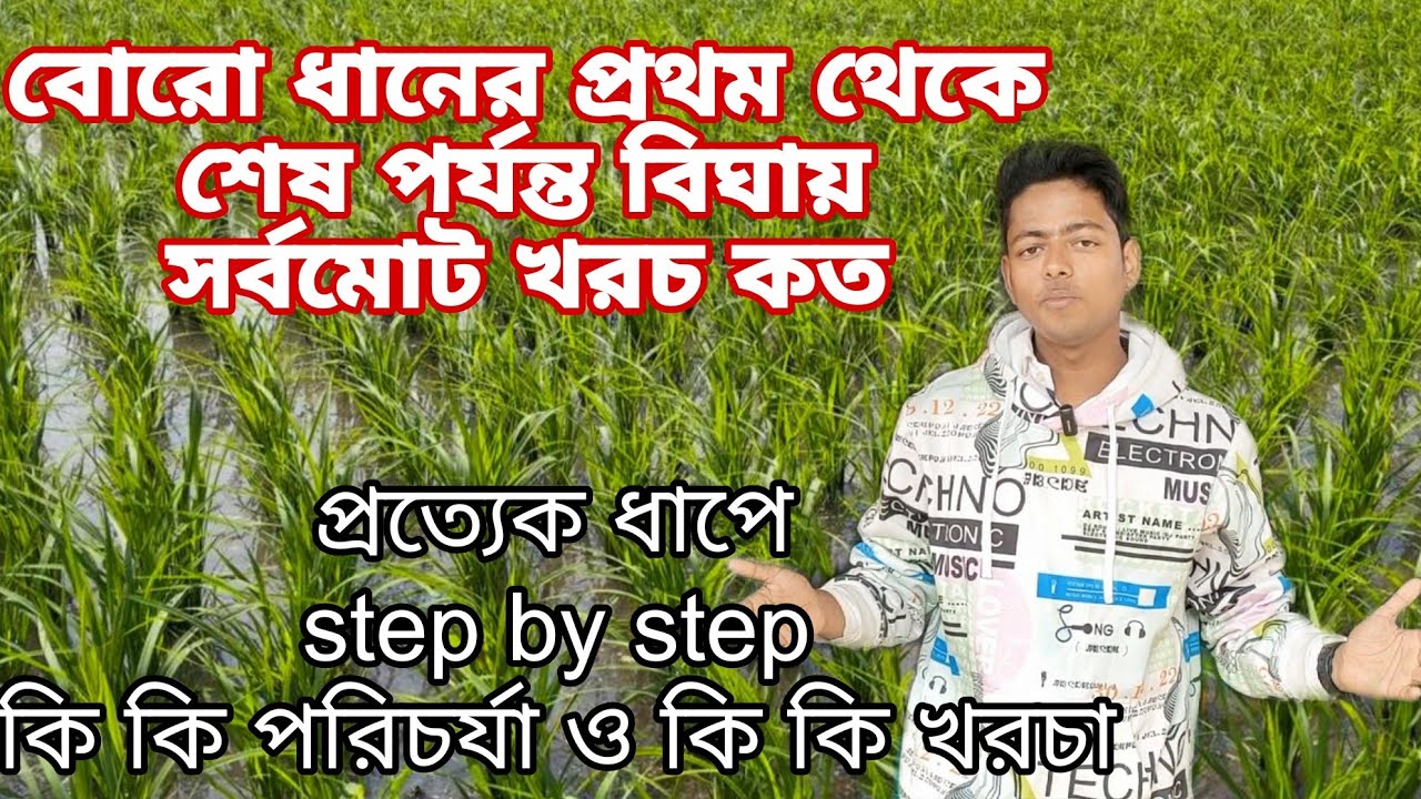 বোরো ধানে কাদা করা থেকে ধান কাটা অব্দি যাবতীয় পরিচর্যা ও তার খরচ