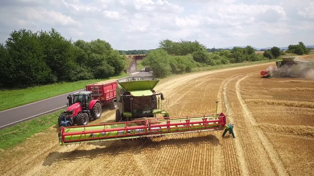 CLAAS  LEXION 795 Monster u.  CLAAS 770 in Schwabhausen bei der Gerstenernte