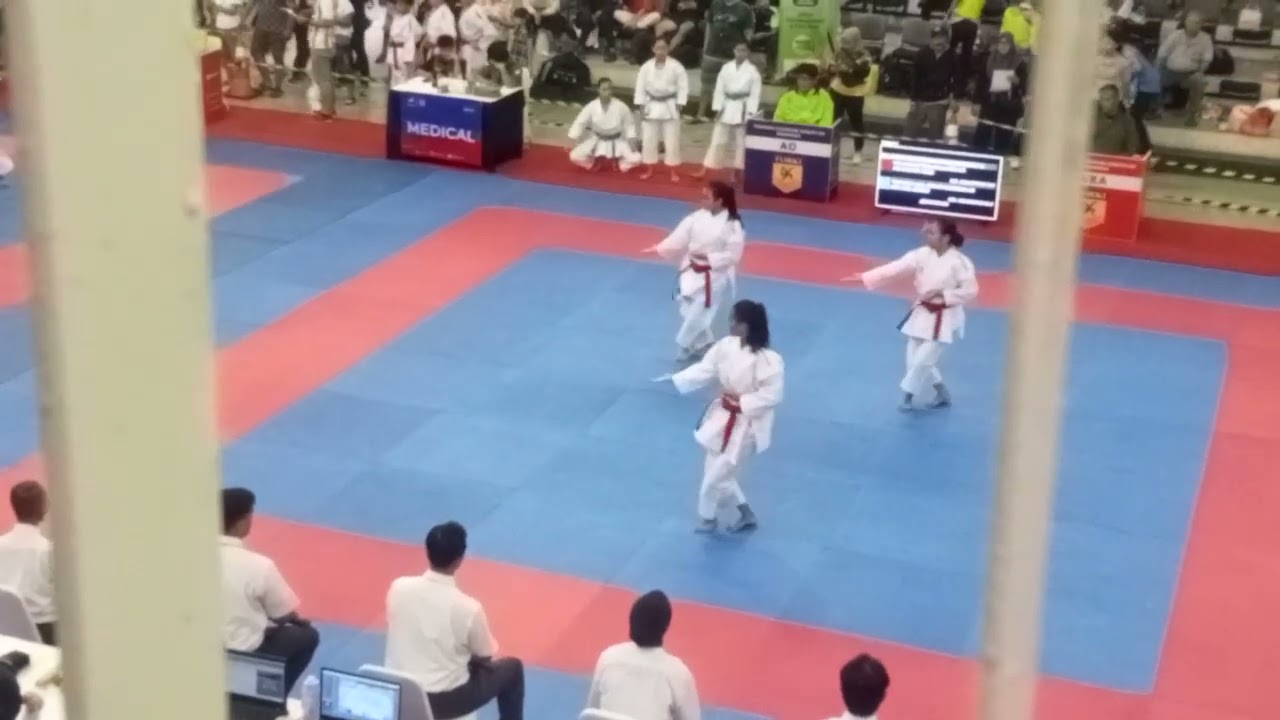 karate #kata gojusho dai #gor oso