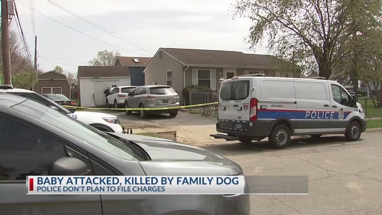 Baby attacked, killed by family dog in south Columbus
