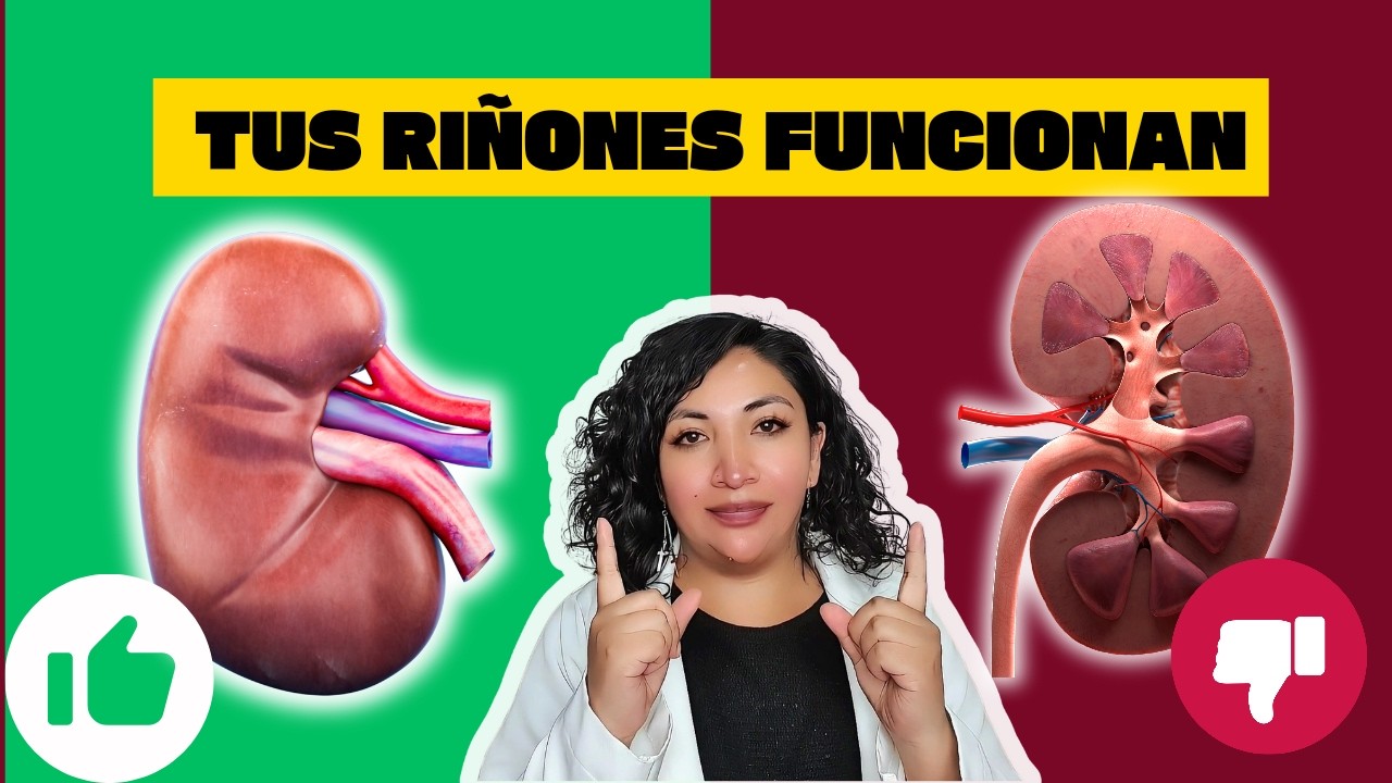 Los 3 ESTUDIOS que DEBES realizarte YA! si quieres EVITAR INSUFICIENCIA RENAL