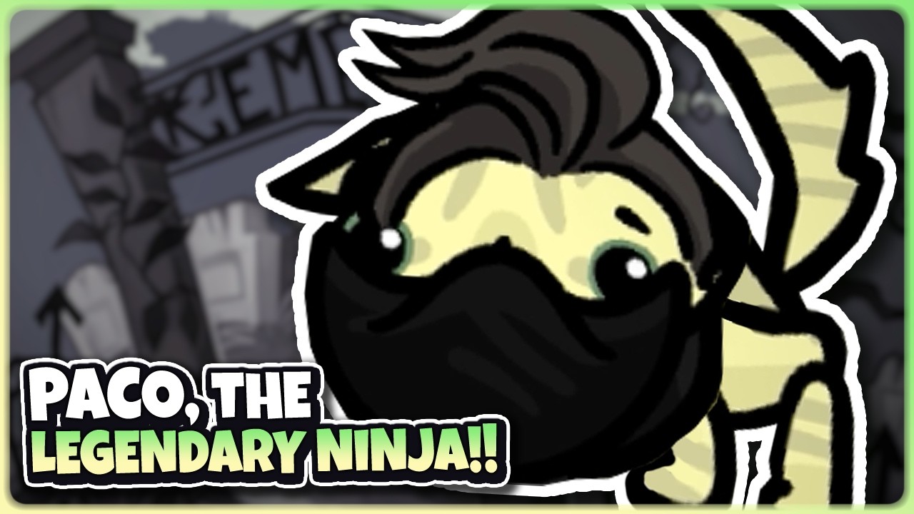 Paco, Cat Ninja Extraordinaire!
