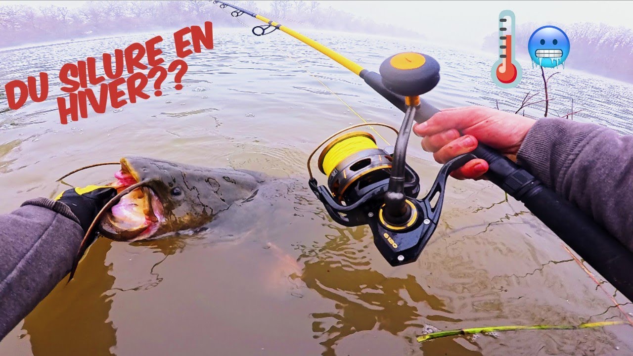On PECHE 48H dans le FROID pour FAIRE du SILURE !