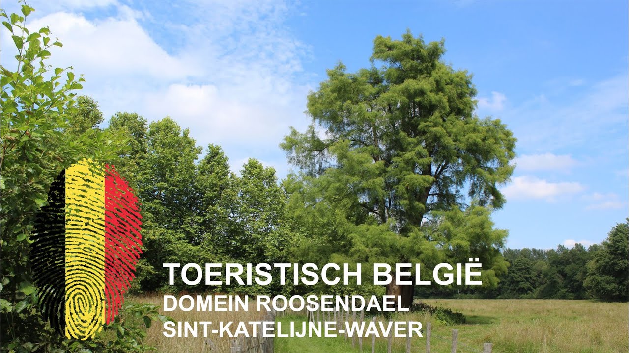 België | Domein Roosendael | Sint-Katelijne-Waver