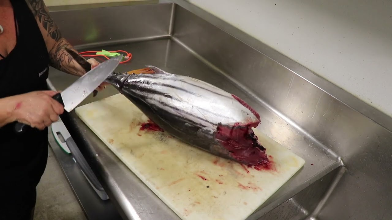 How to Breakdown an Aku - Kristy Kahananui - Lawaiʻa Fish Co.