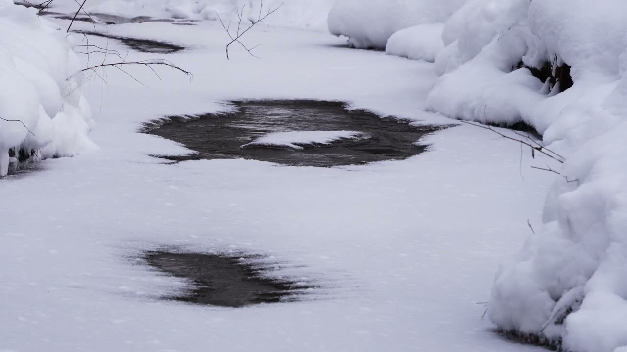 ФОТОПРАКТИКИ.  ЛЕСНОЙ ДРАККАР. ЗИМНИЙ РУЧЕЙ.