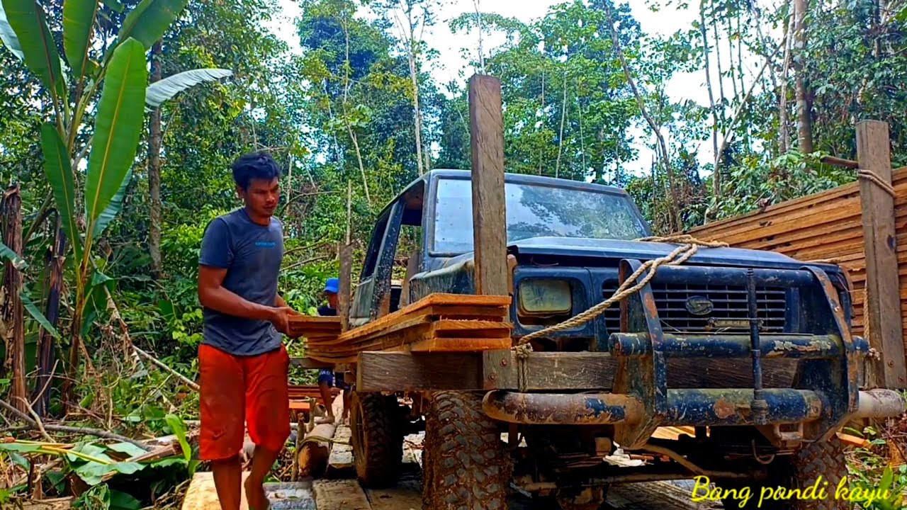 CARA KAMI MENGOLAH KAYU MERANTI SAMPAI TIBA DI KAMPUNG HALAMAN