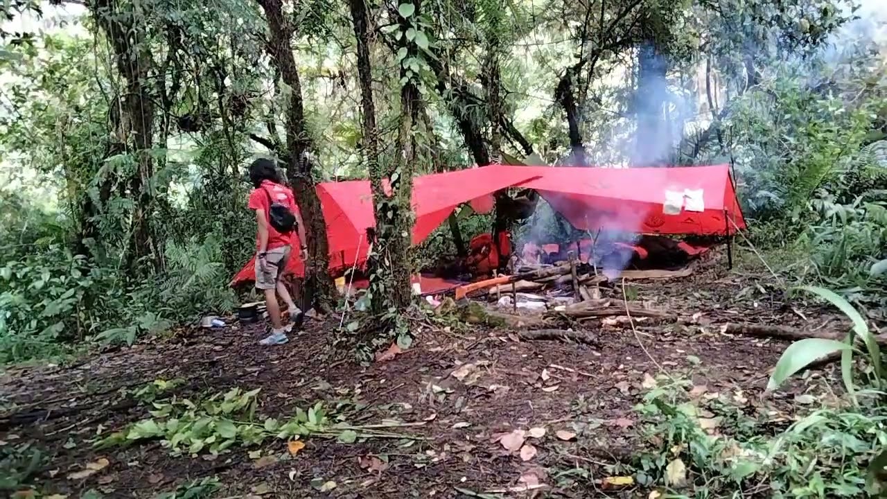 Jangan biasakan sendiri di hutan