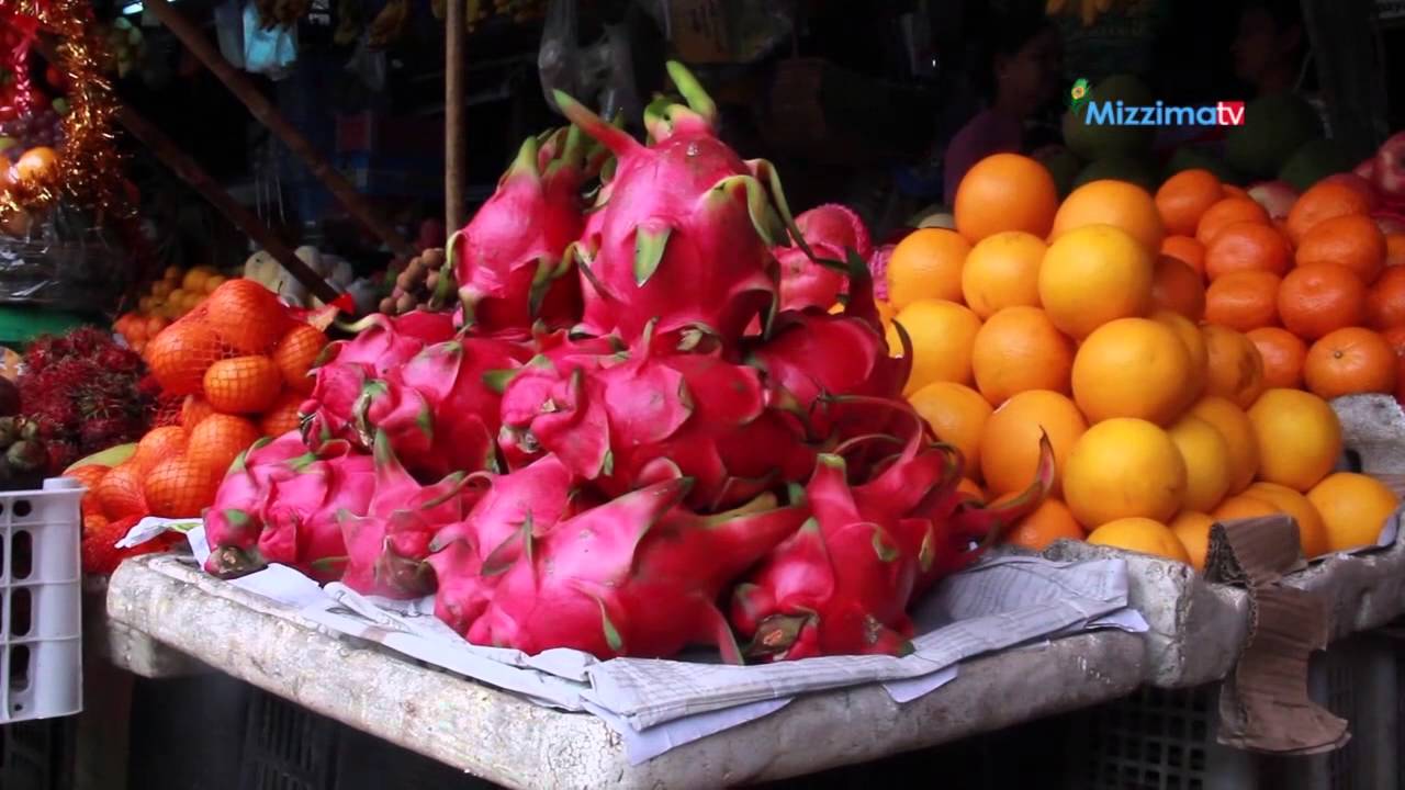 ေဆးဘက္၀င္နဂါးေမာက္ (Part_3)