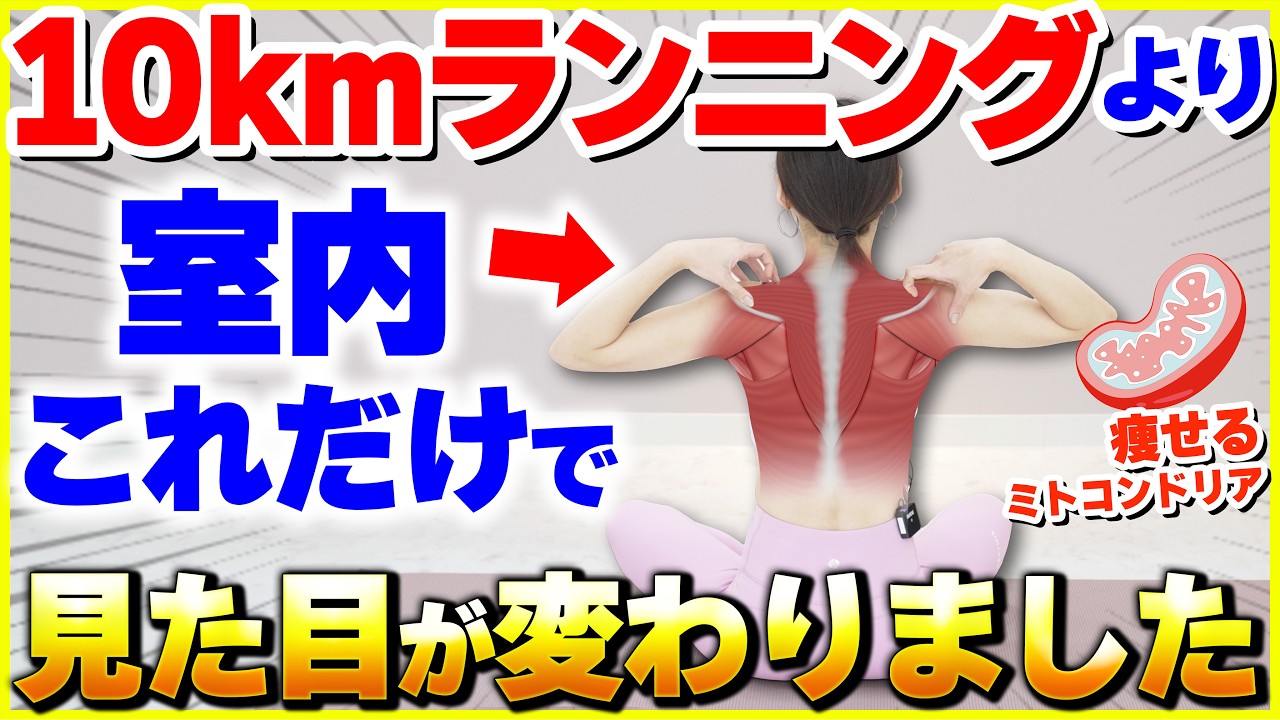 【衝撃】有酸素より痩せる！身体の痩せ細胞を活発化させる上半身燃焼ストレッチ【‐11kg】