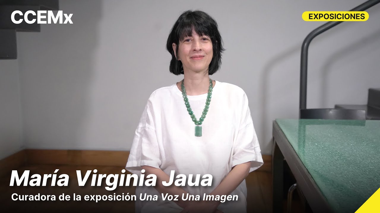 Entrevista con María Virginia Jaua, curadora de la muestra una voz / una imagen