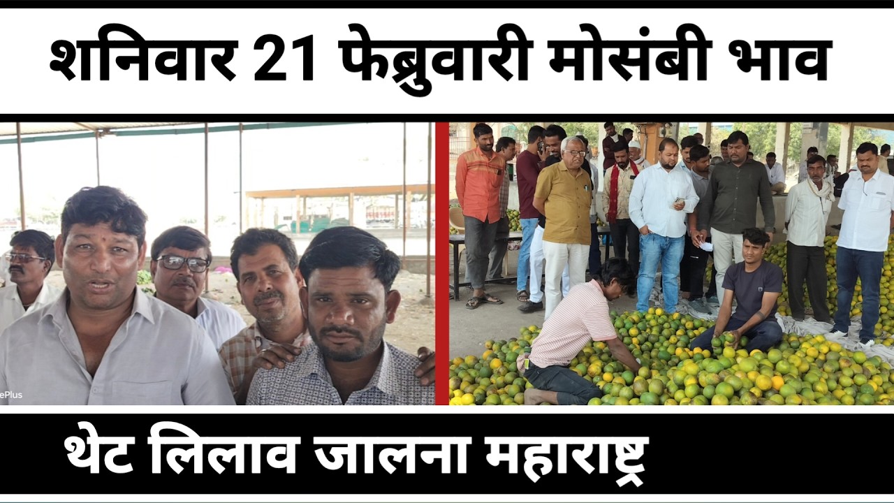 शनिवार 21 फेब्रुवारी मोसंबी बाजार भाव थेट लिलाव  जालना महाराष्ट्र || पीक पाणी
