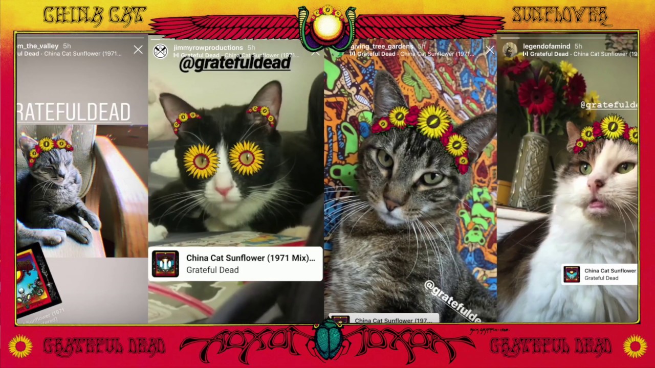 Grateful Dead - China Cat Sunflower (The Video)