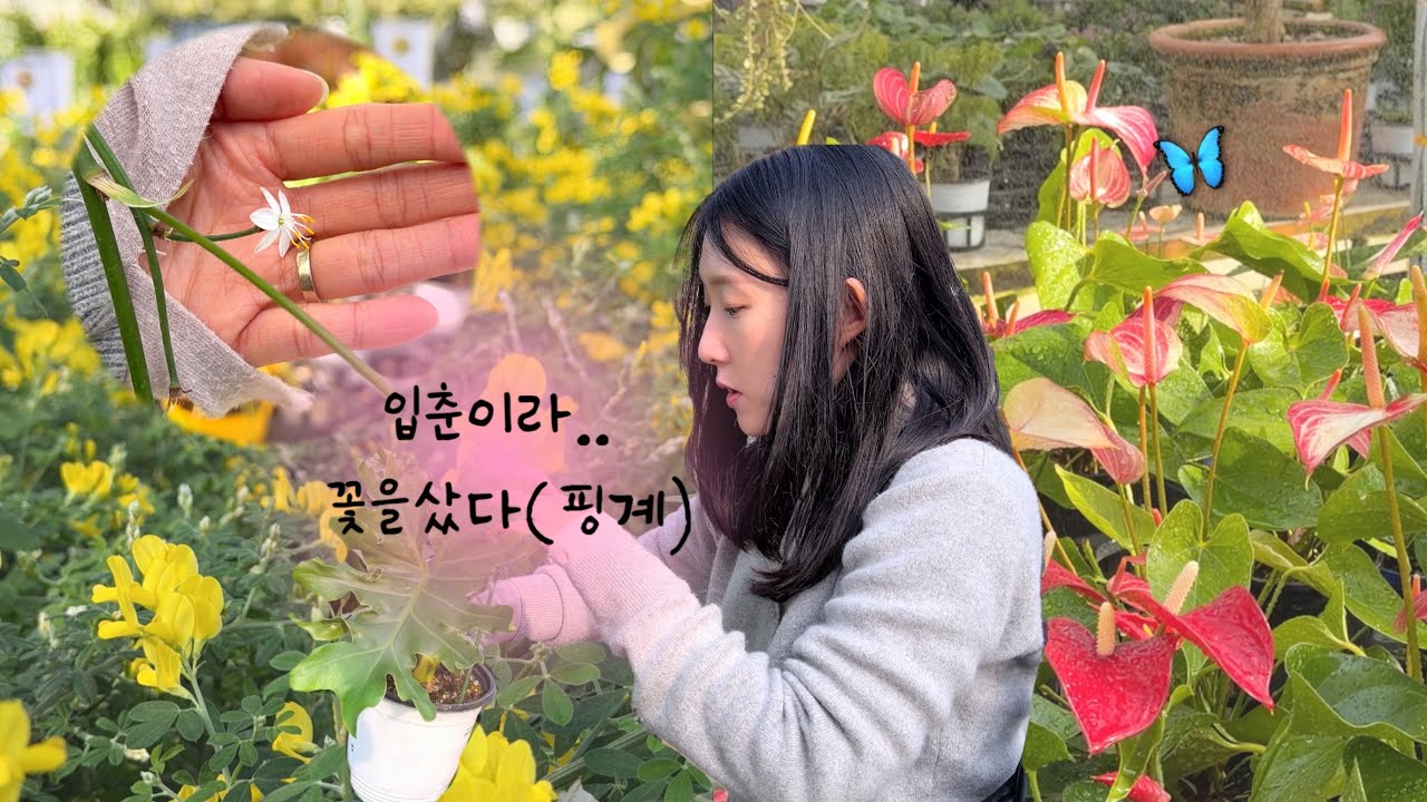 식집사에게 봄이 왔다 🌸 이 계절엔 꽃을 못 참지｜화훼단지 식물 쇼핑 vlog
