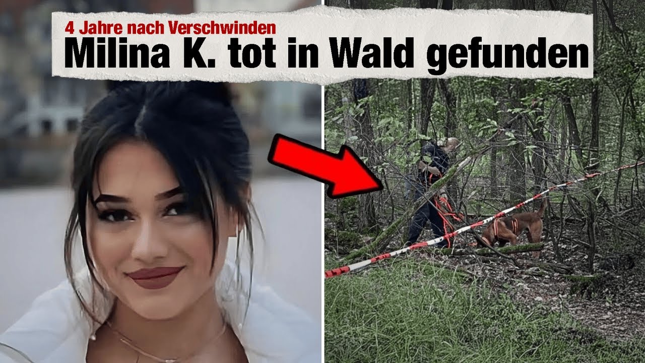 LIVE: Vermisste Frau nach 4 Jahren TOT in Wald in Sachsen-Anhalt gefunden