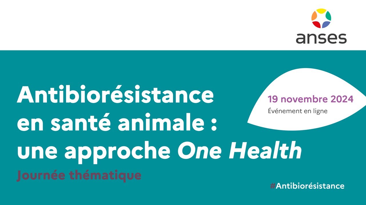 Antibiorésistance en santé animale : bilan 2023